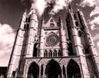 catedral de leon