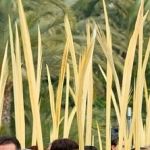 Domingo de Ramos: Orar con algunos personajes de la pasión-2234