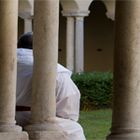 Mi vocación dominicana: la historia de una llamada-4177