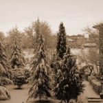 actuar desde dentro silencio