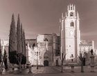 catedral de palencia telmo