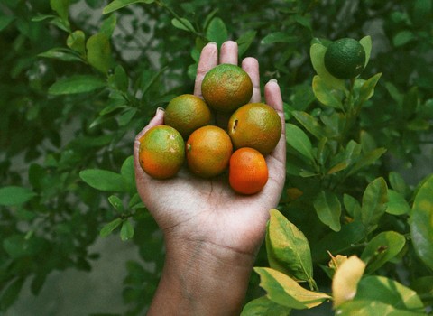 Dad limosna de lo que hay dentro