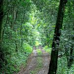 Diálogo de la Sabiduría mistica renana