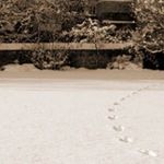 Dimensiones de persona