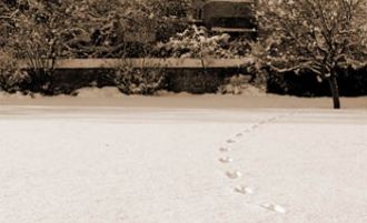 Las dimensiones de la persona