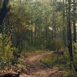 El amor y la humildad Mistica renana