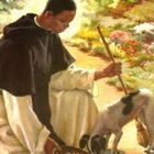 San Martín de Porres: El buen religioso