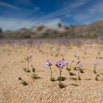 El silencio base para asentar la vida