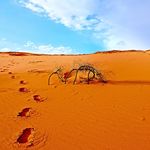 El SIlencio te lleva a tu origen