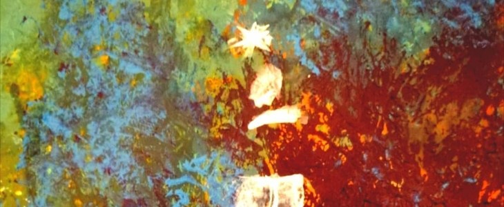 Encuentro de Adviento 2020 - Felix Hernandez