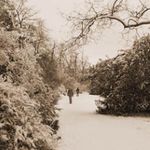 Estudio preliminar ico