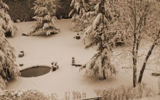 La experiencia de Dios