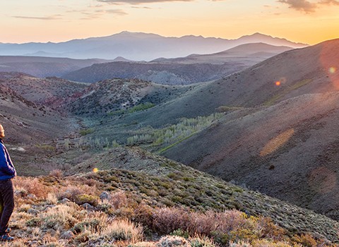 Soy yo quien os he elegido