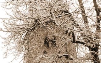 La técnica para alcanzar el silencio