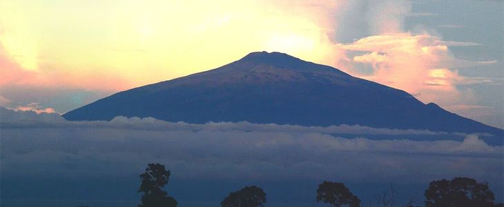 Verdad y justicia por una paz duradera en Camerún