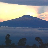 Verdad y justicia por una paz duradera en Camerún