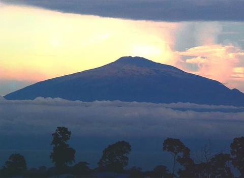 Mes-de-la-paz-camerun-2025