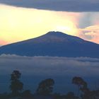 Verdad y justicia por una paz duradera en Camerún
