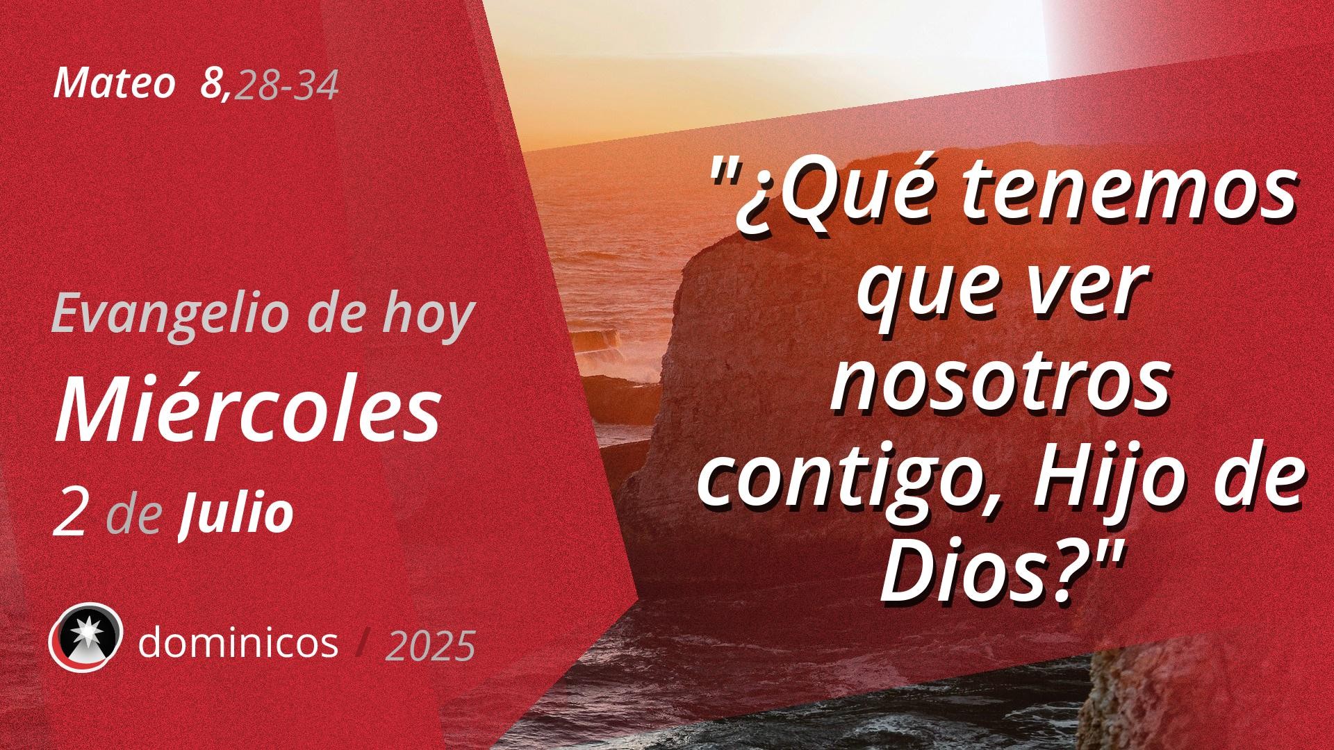 Evangelio de hoy en vídeo