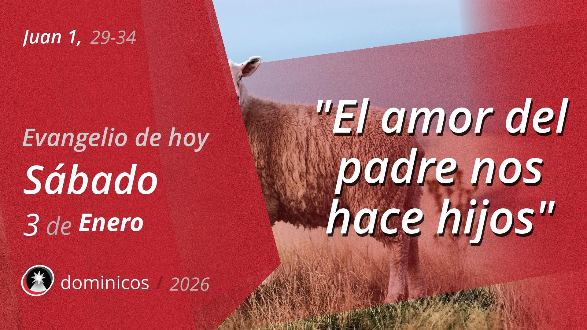 Evangelio de hoy en vídeo