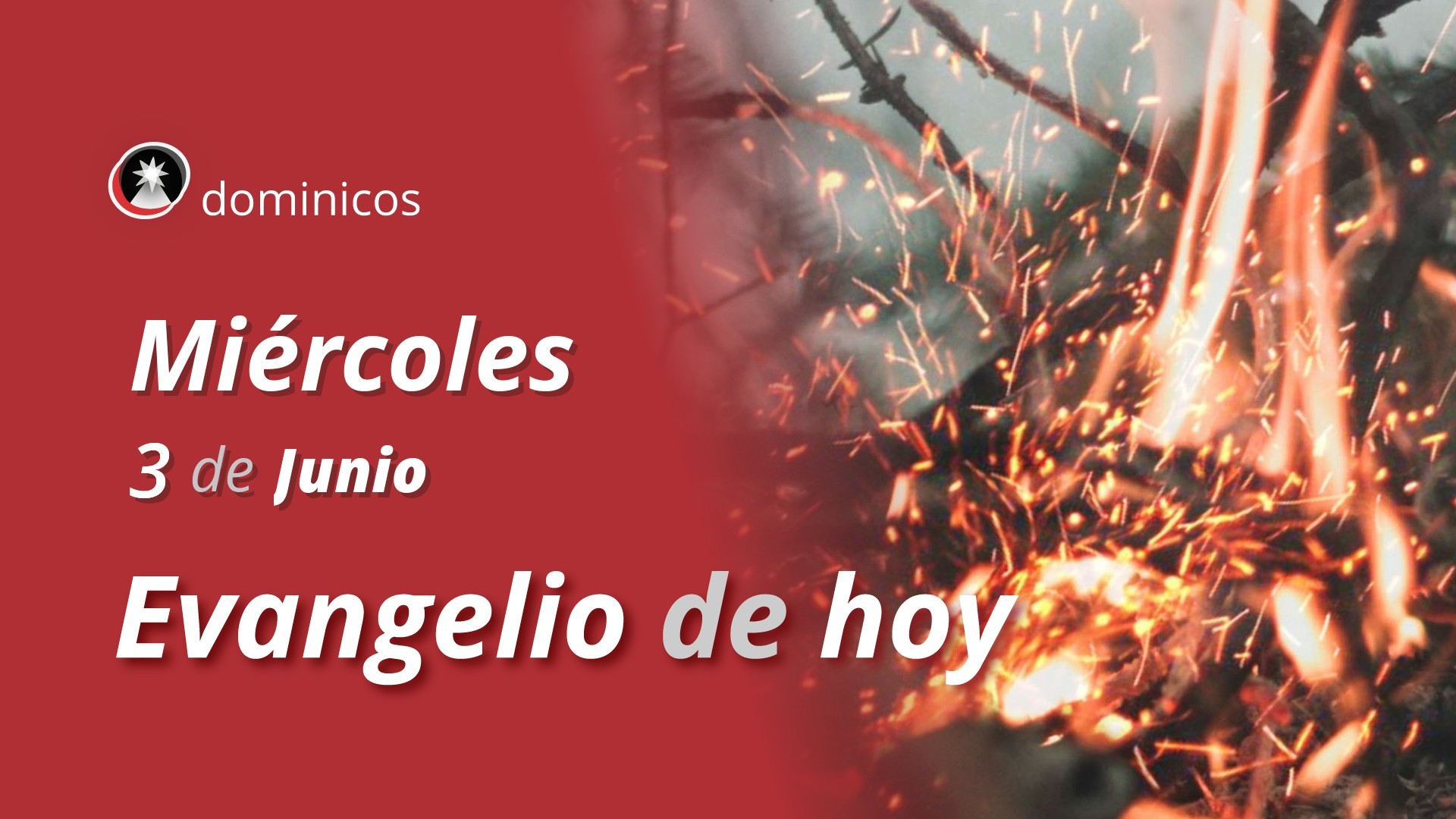 Evangelio de hoy en vídeo