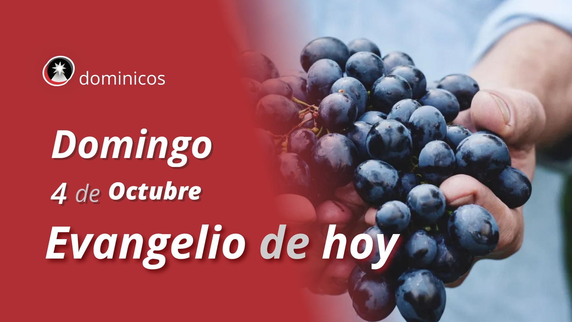 Evangelio de hoy en vídeo