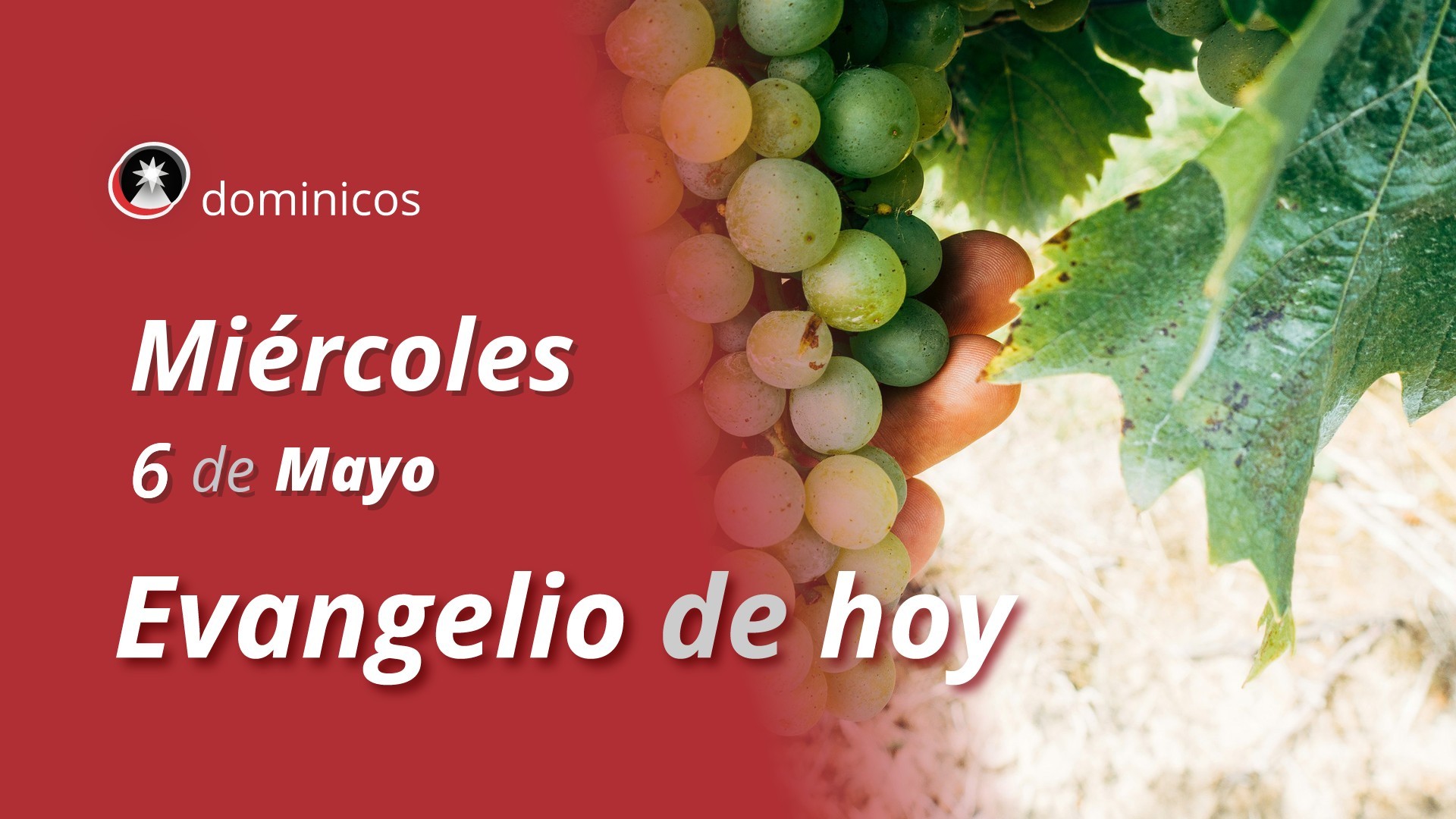 Evangelio de hoy en vídeo