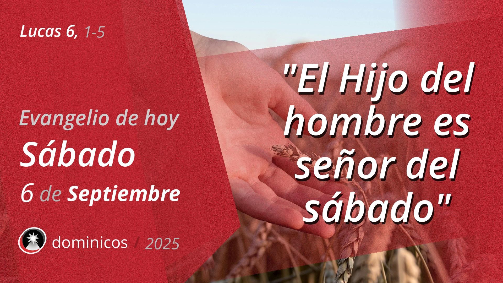 Evangelio de hoy en vídeo