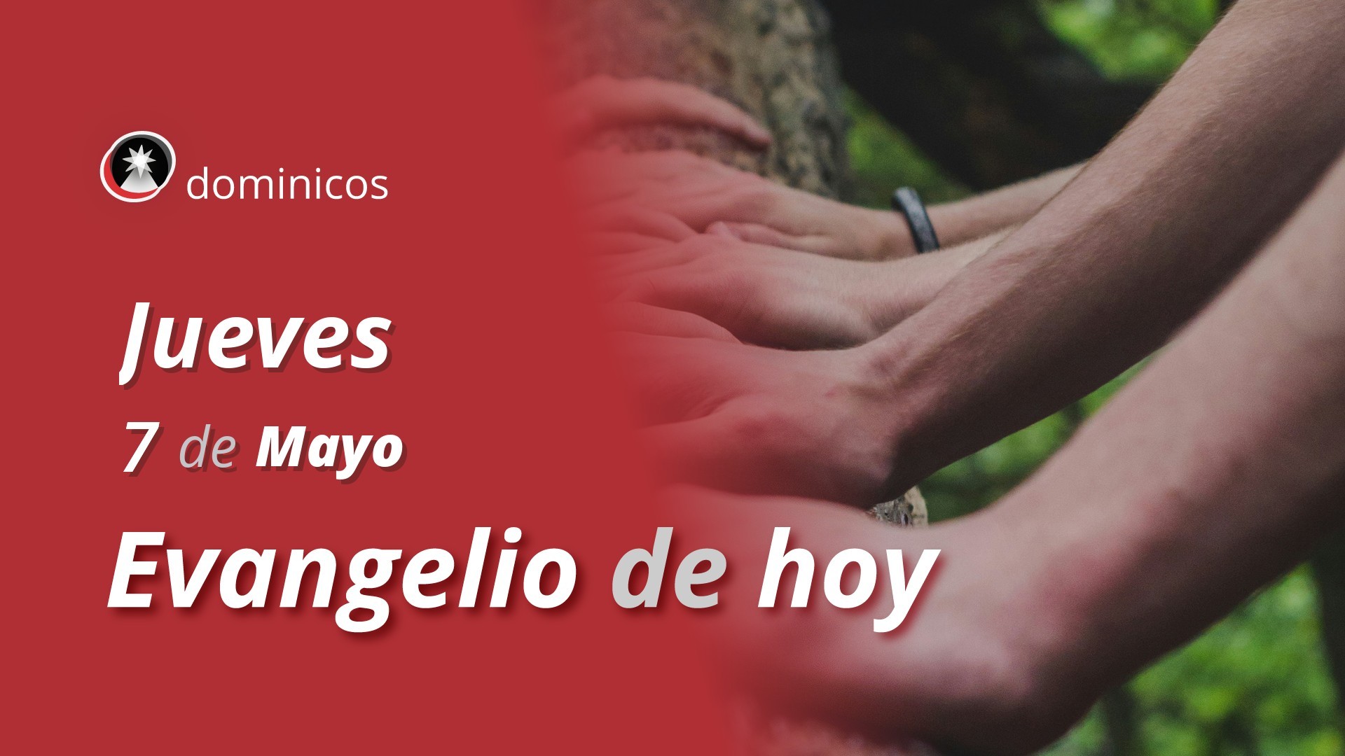 Evangelio de hoy en vídeo