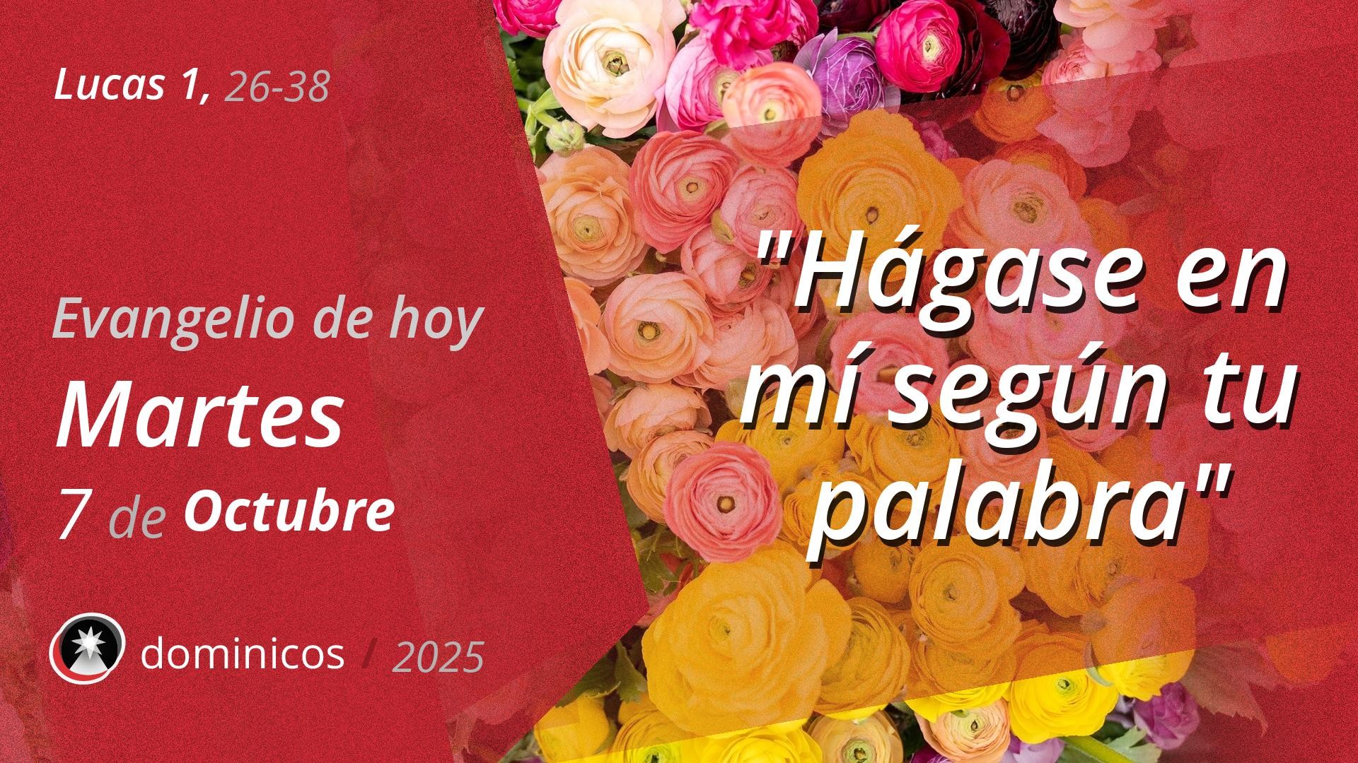 Evangelio de hoy en vídeo