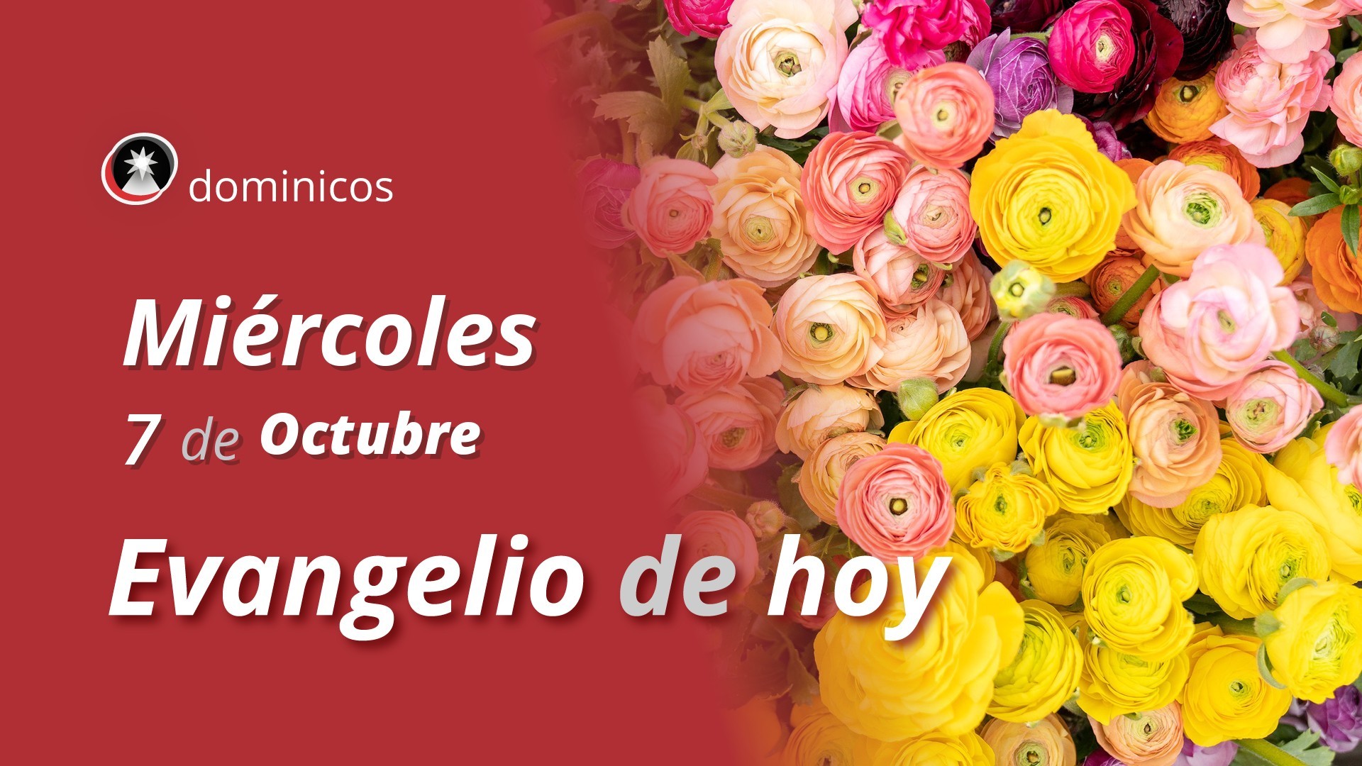 Evangelio de hoy en vídeo
