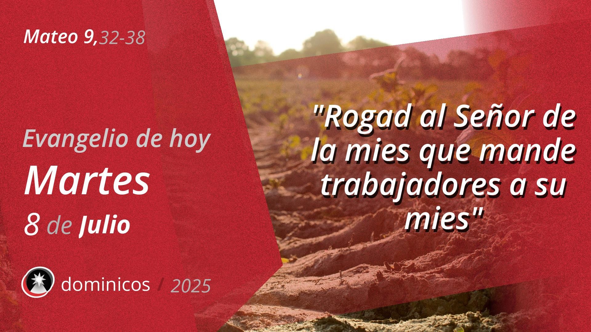 Evangelio de hoy en vídeo