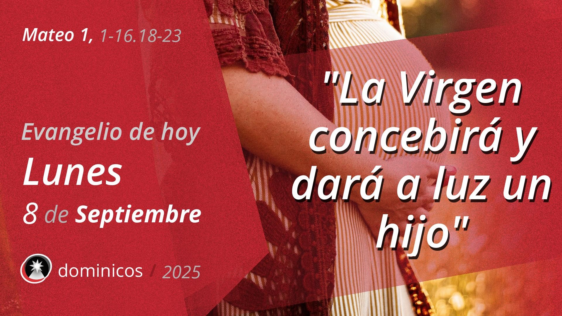 Evangelio de hoy en vídeo