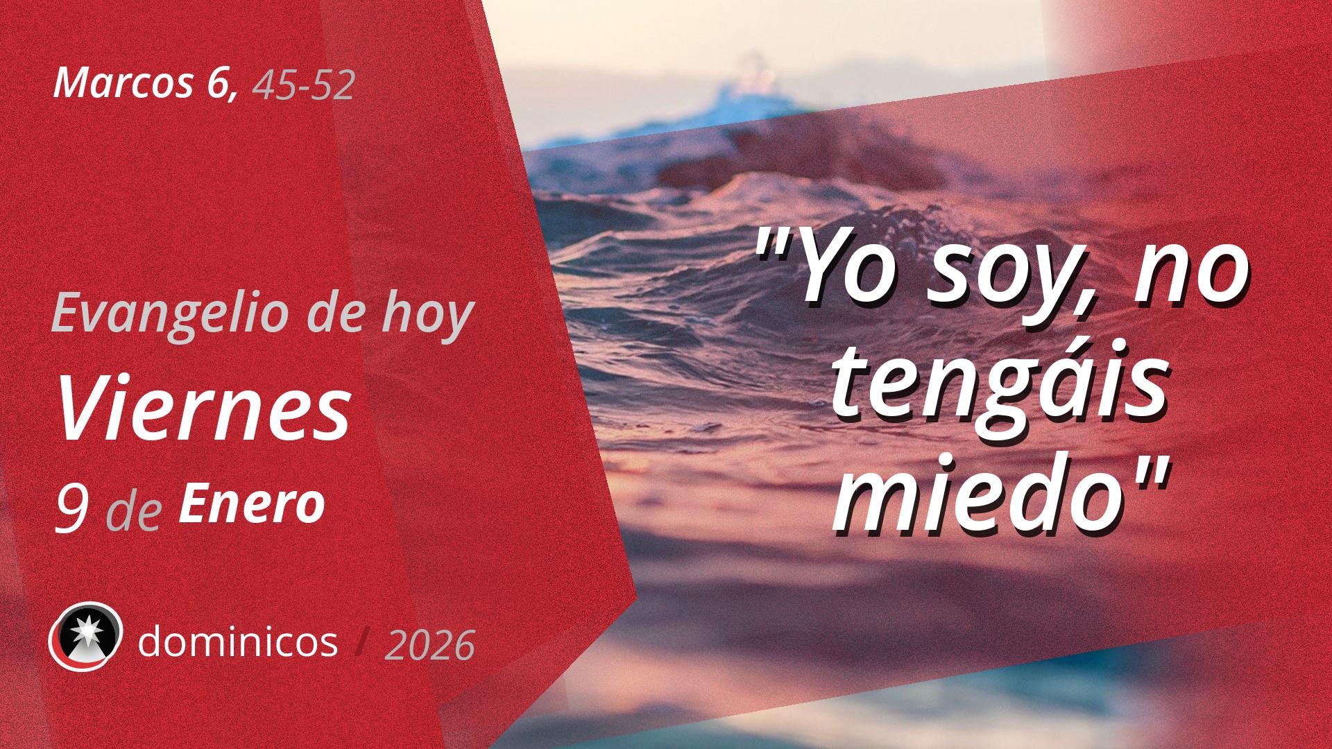 Evangelio de hoy en vídeo