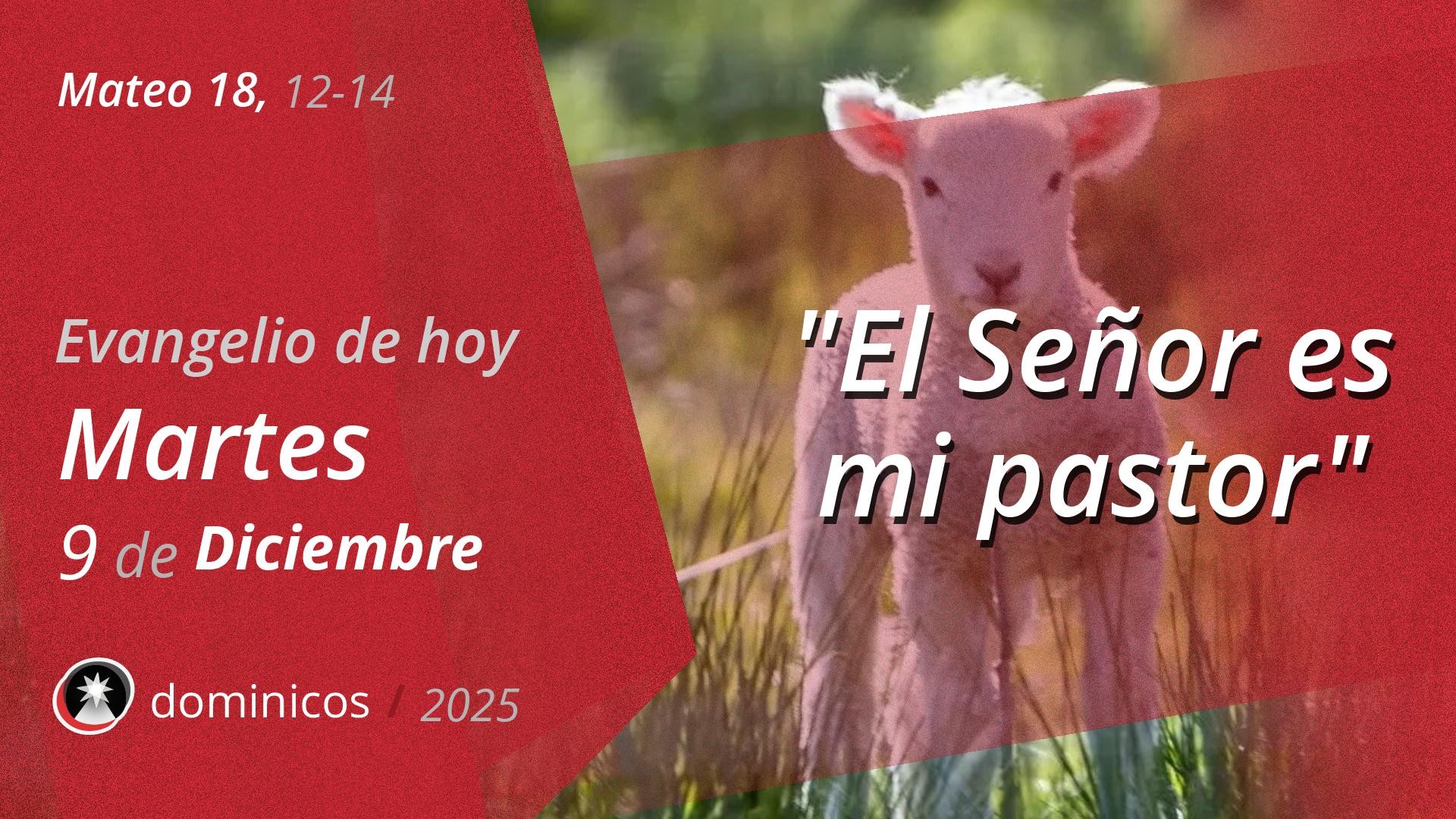 Evangelio de hoy en vídeo
