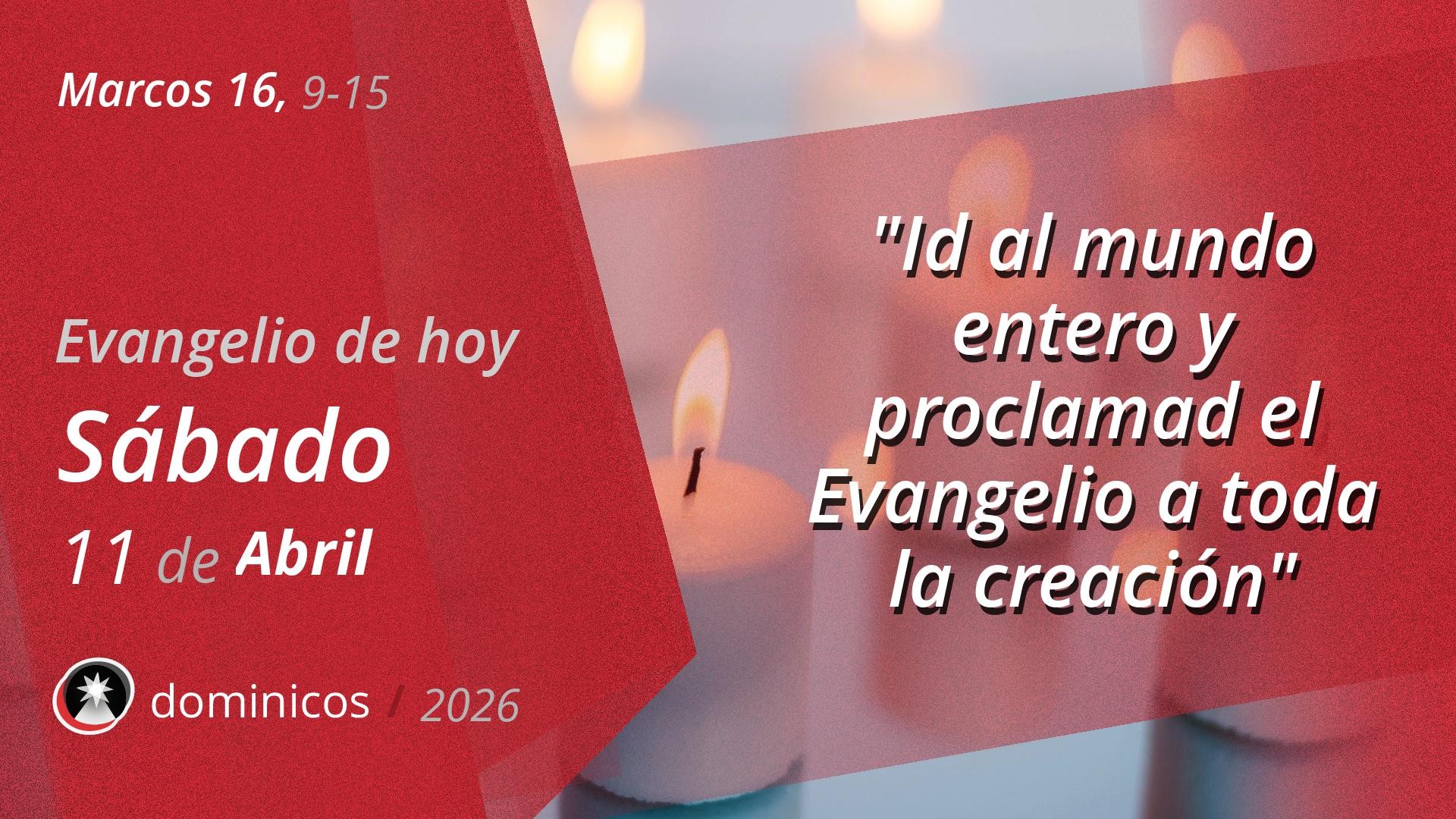 Evangelio de hoy en vídeo
