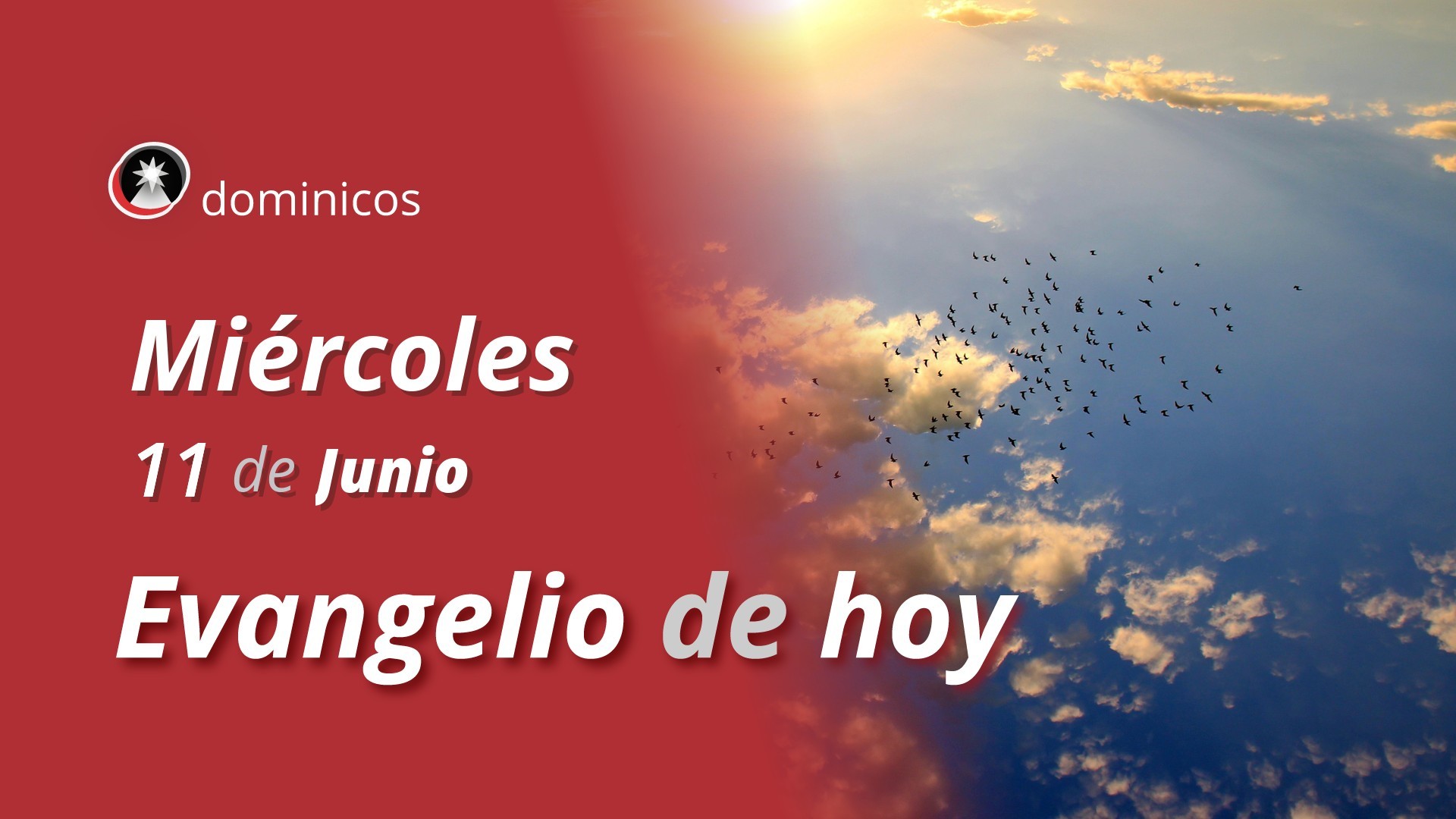 Evangelio de hoy en vídeo
