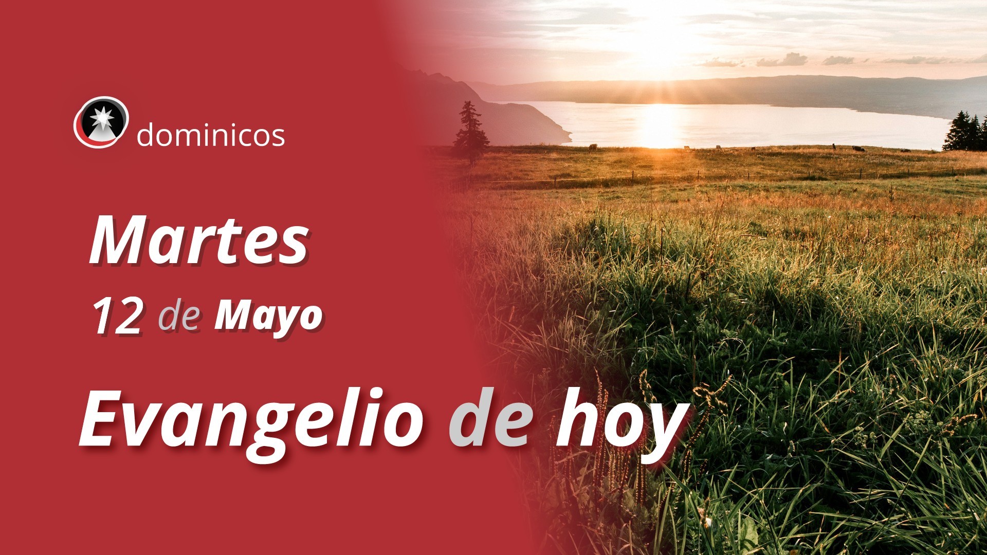 Evangelio de hoy en vídeo
