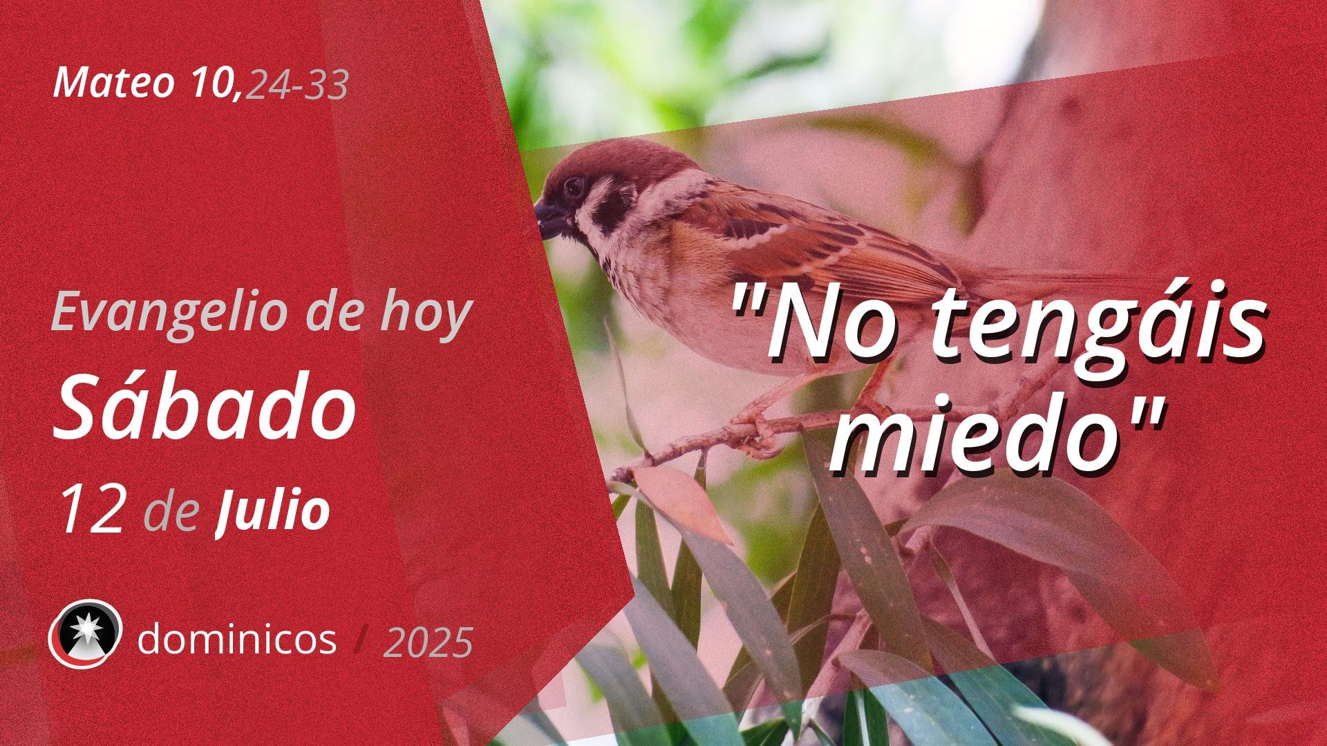 Evangelio de hoy en vídeo