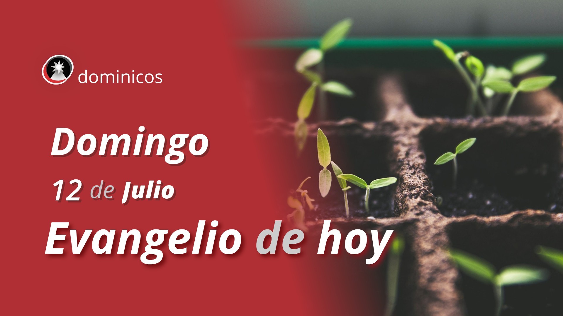 Evangelio de hoy en vídeo