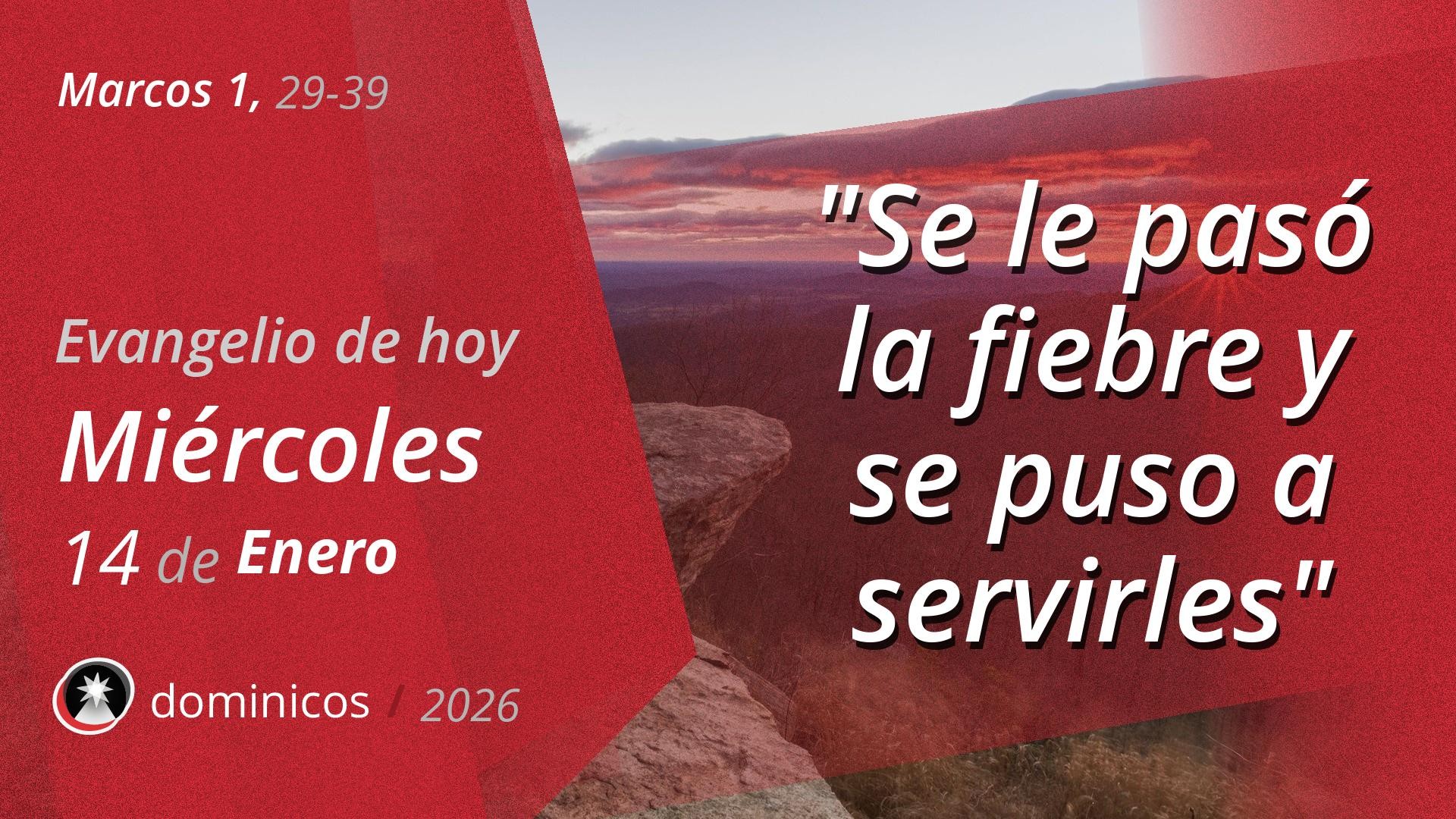 Evangelio de hoy en vídeo