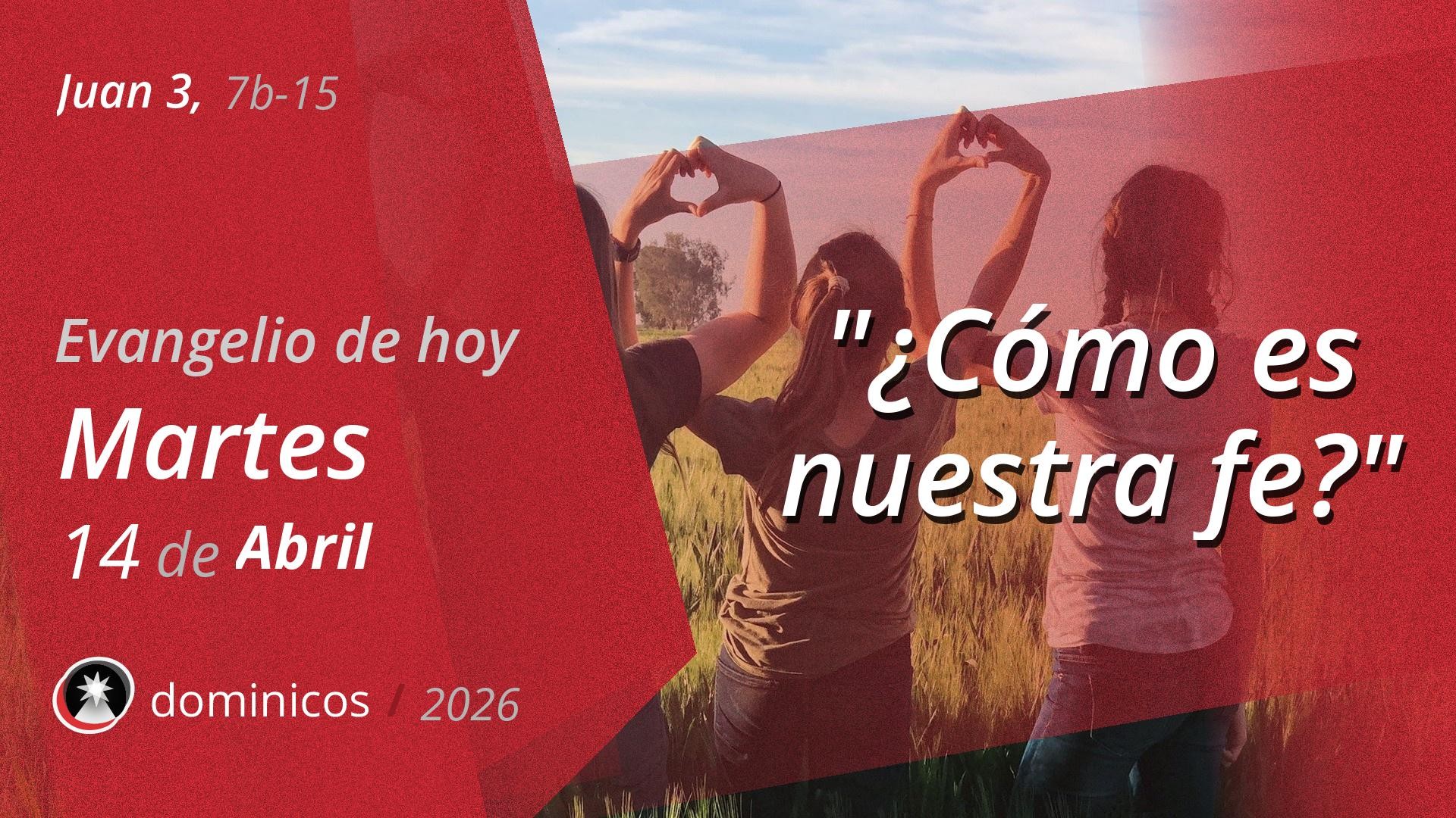Evangelio de hoy en vídeo