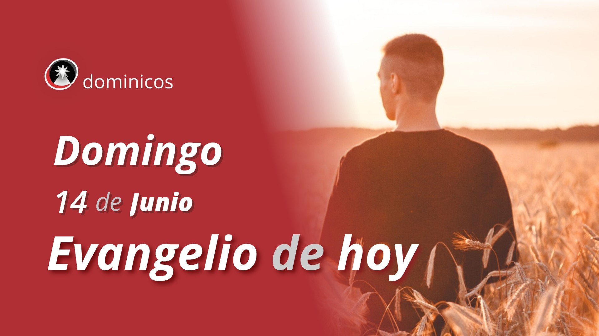 Evangelio de hoy en vídeo