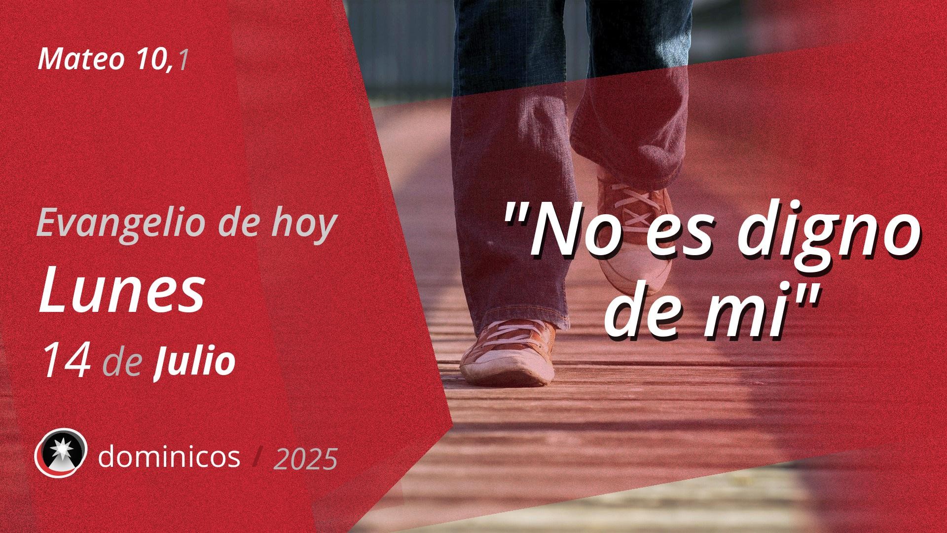 Evangelio de hoy en vídeo