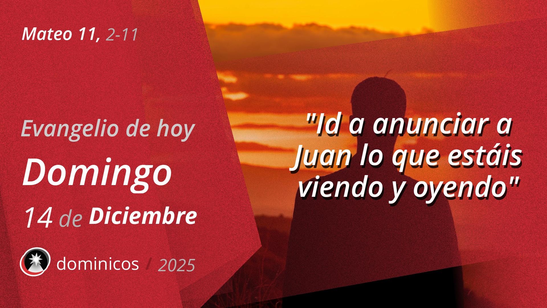 Evangelio de hoy en vídeo