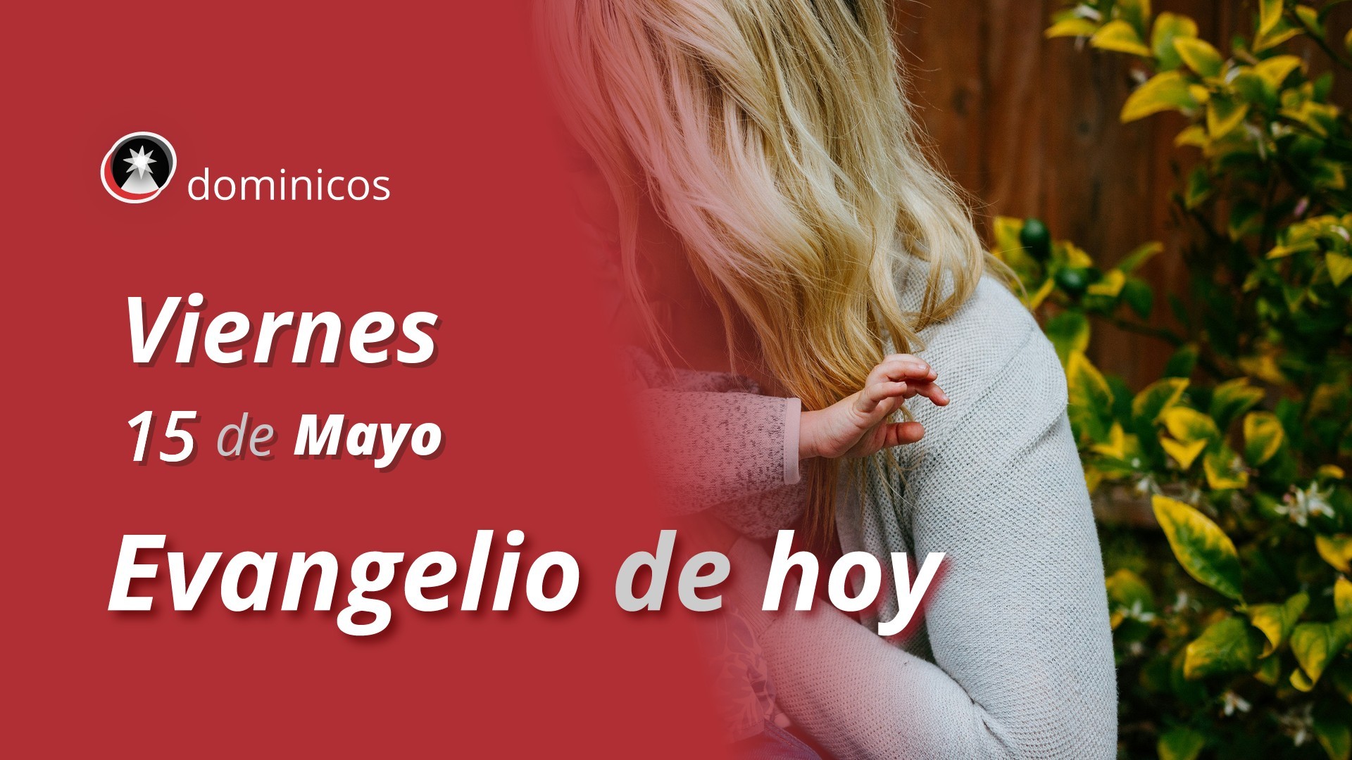 Evangelio de hoy en vídeo