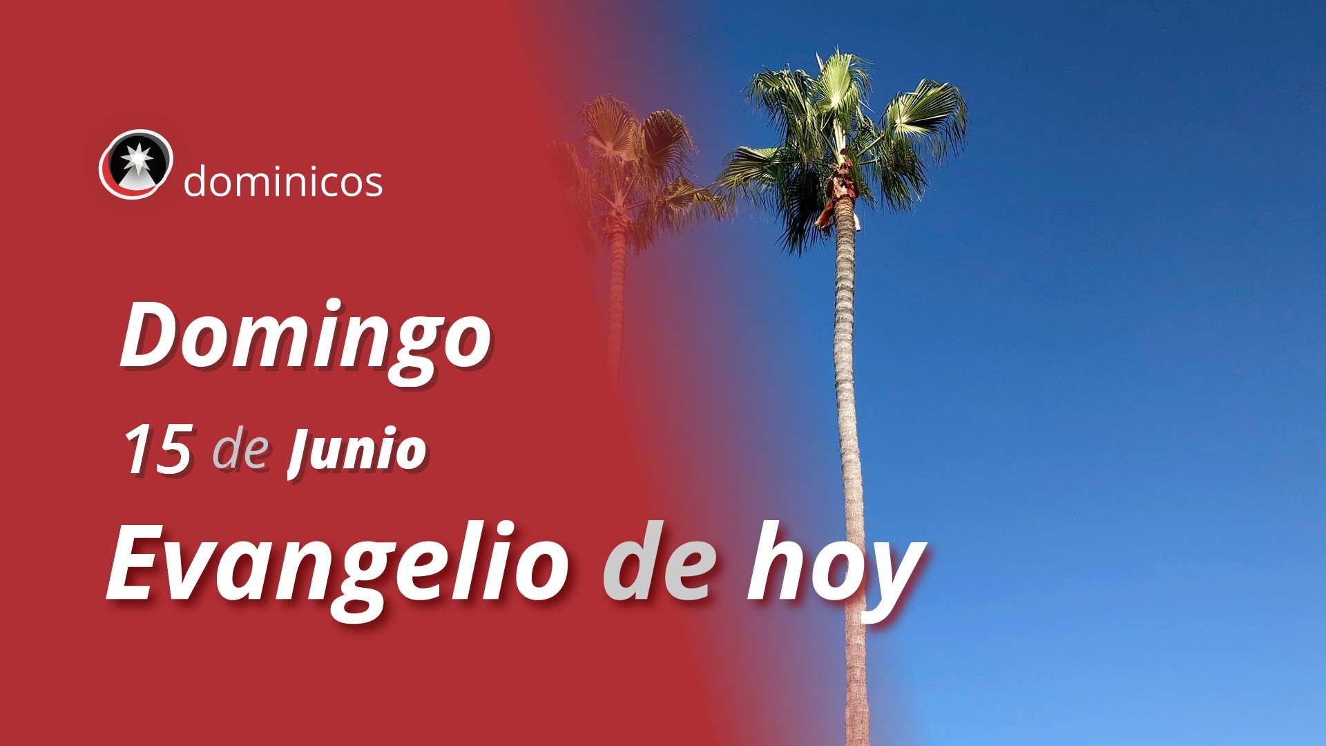 Evangelio de hoy en vídeo