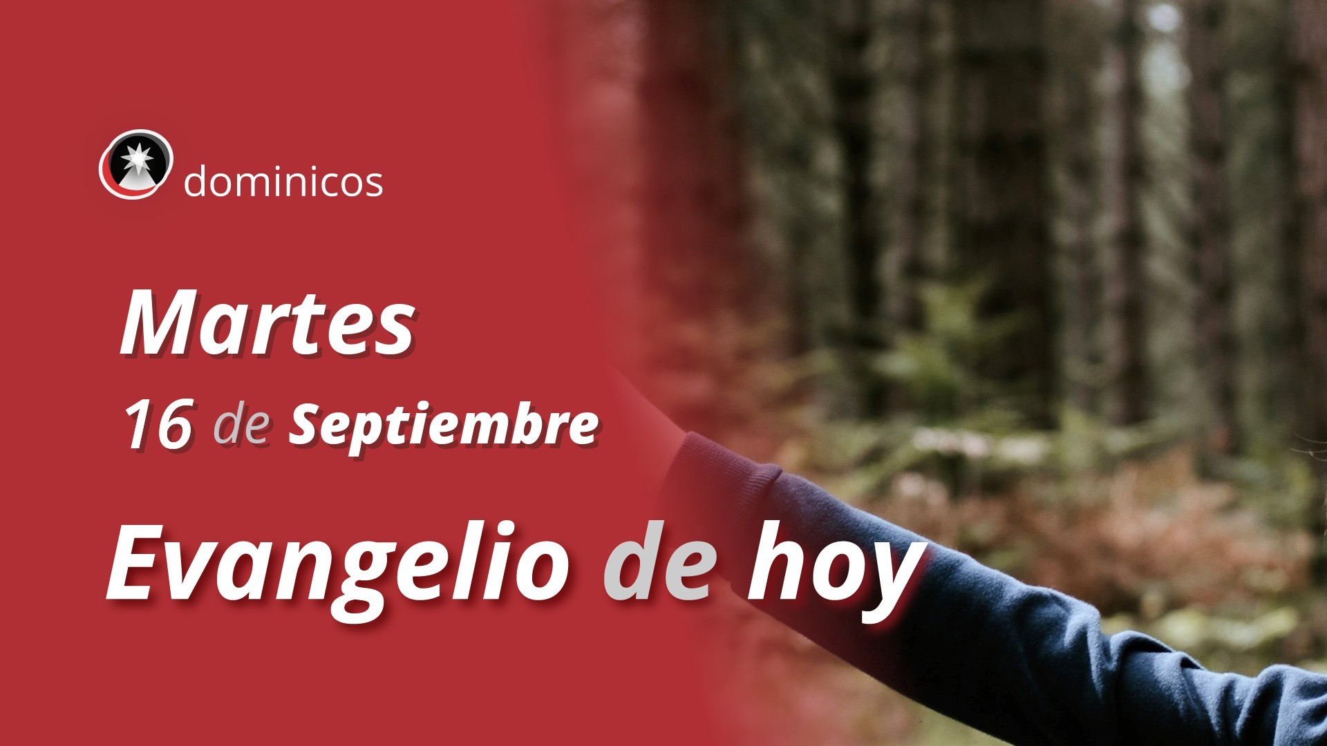 Evangelio de hoy en vídeo