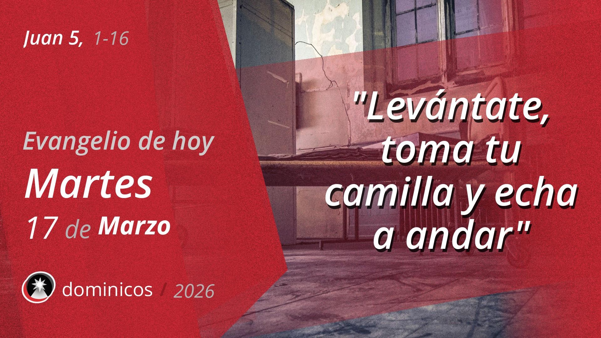 Evangelio de hoy en vídeo