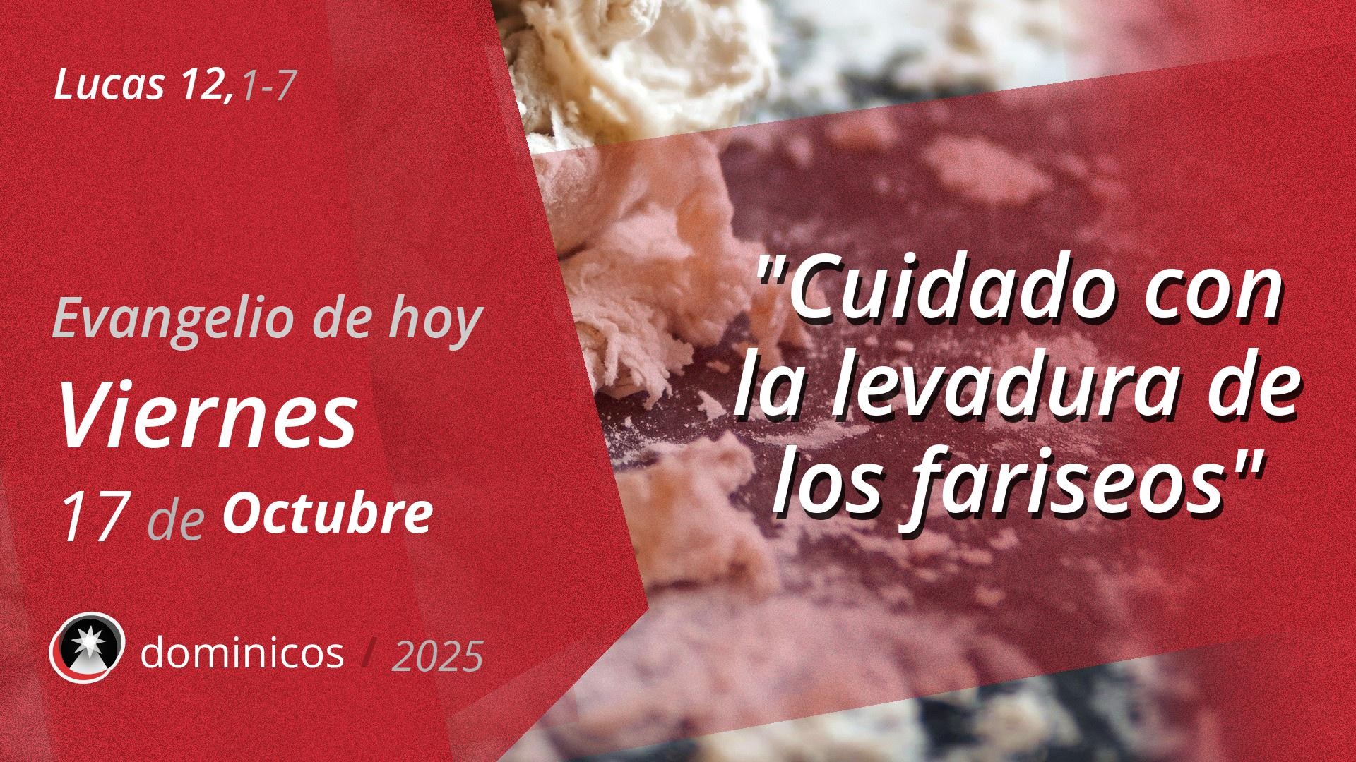 Evangelio de hoy en vídeo